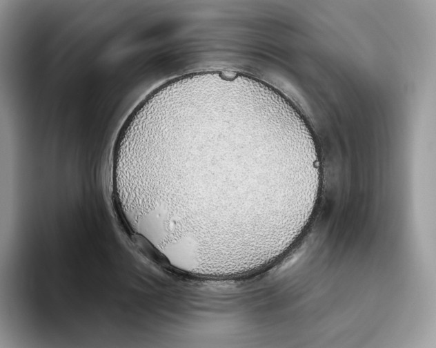 X0000093500844200711091702