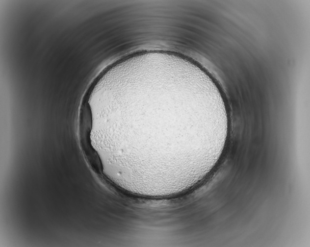 X0000093500845200711091702