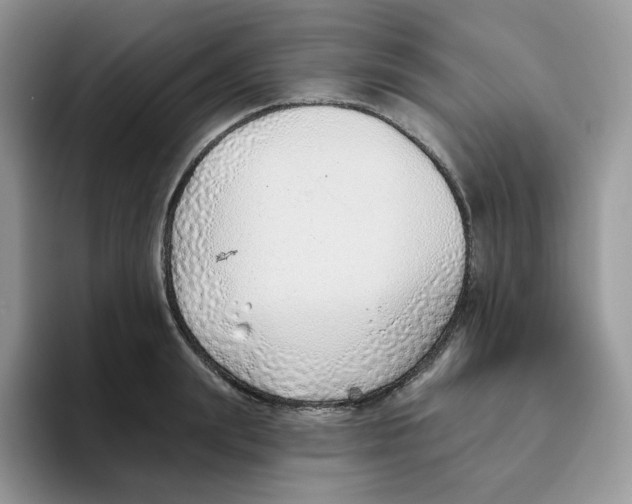 X0000093500847200711091702