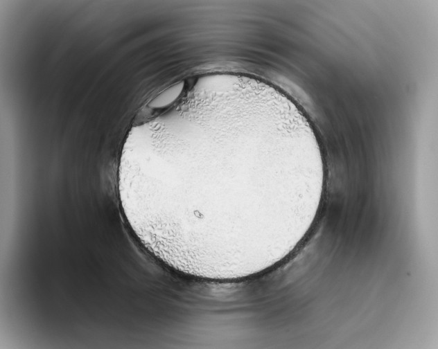 X0000093500849200711091702