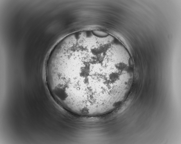 X0000093500851200711091702