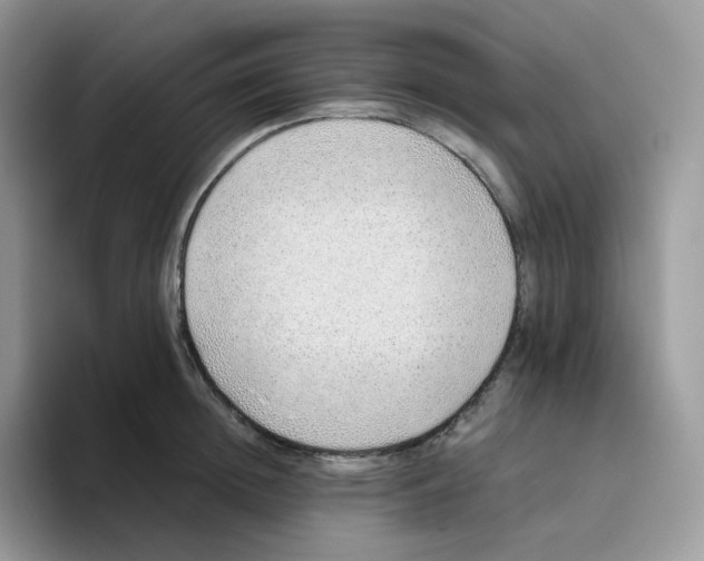 X0000093500852200711091702