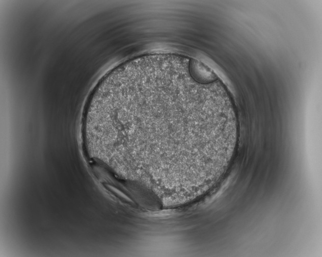 X0000093500853200711091702