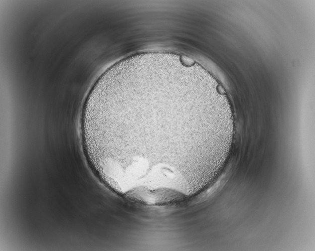 X0000093500855200711091702