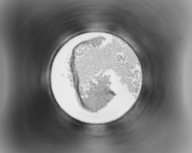 X0000093500856200711091702