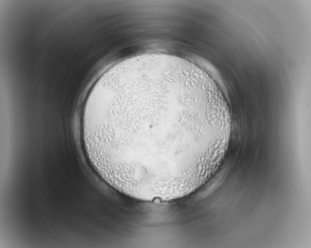 X0000093500859200711091702