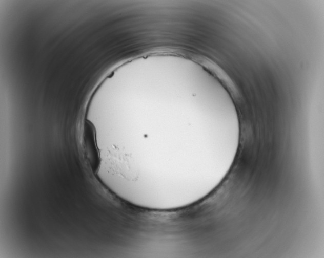 X0000093500860200711091702