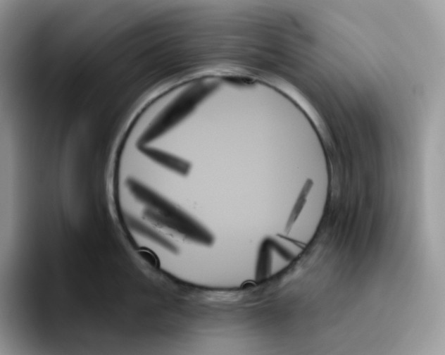 X0000093500861200711091702