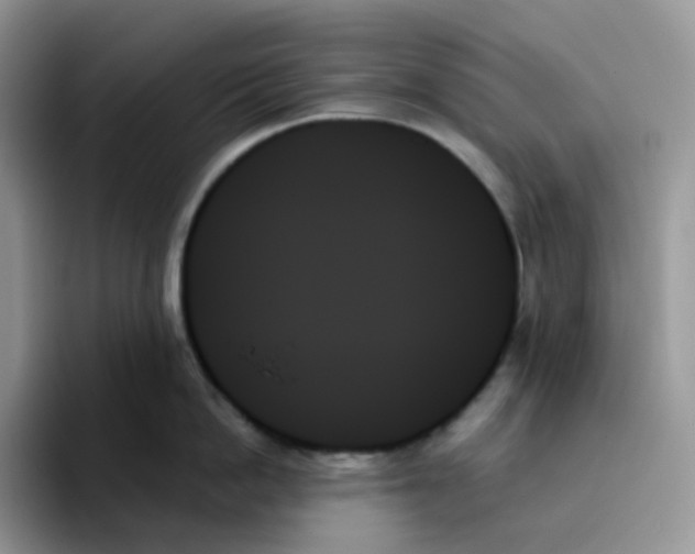 X0000093500862200711091702