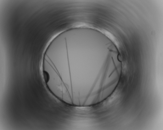 X0000093500863200711091702