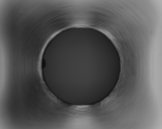 X0000093500864200711091702