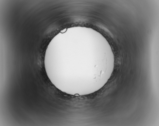 X0000093500869200711091701