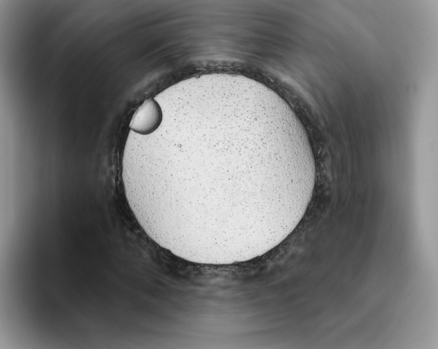 X0000093500870200711091701