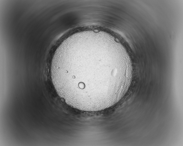 X0000093500871200711091701