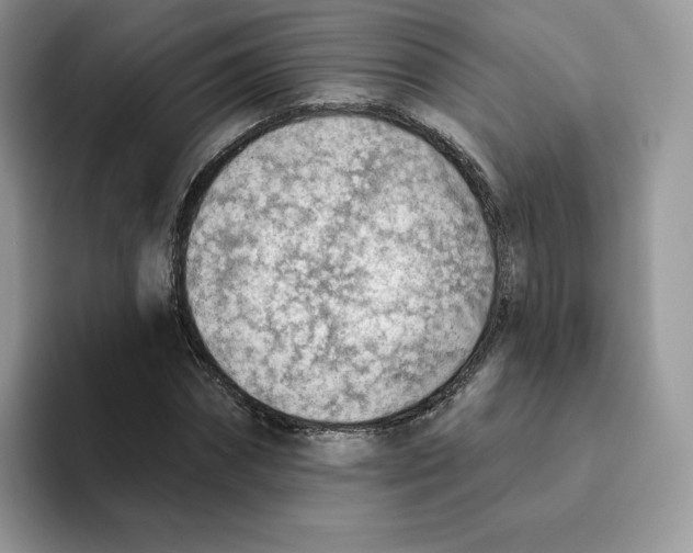 X0000093500874200711091701