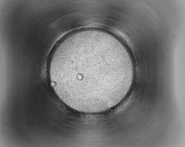 X0000093500875200711091701