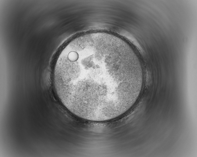 X0000093500878200711091701