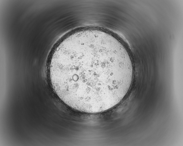 X0000093500879200711091701