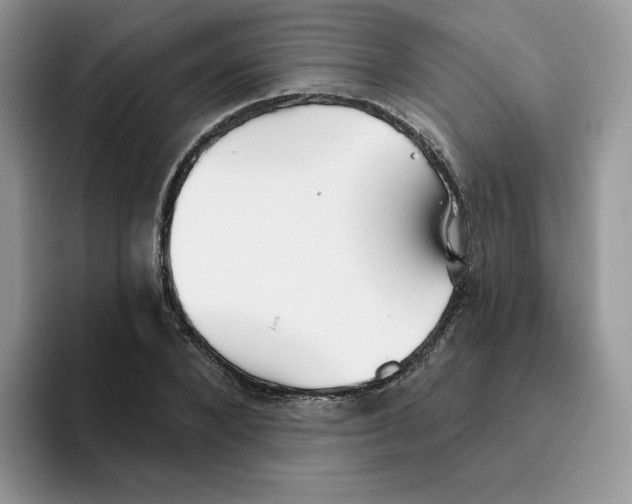 X0000093500880200711091701