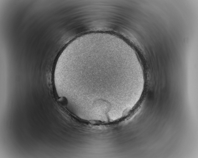 X0000093500881200711091701