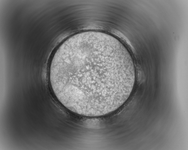 X0000093500882200711091701