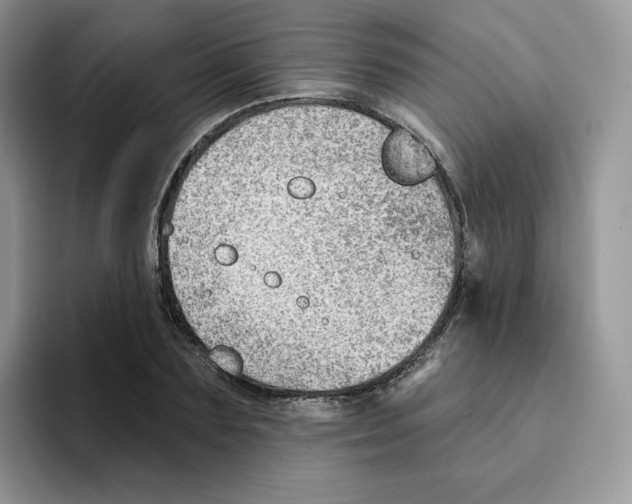 X0000093500883200711091701