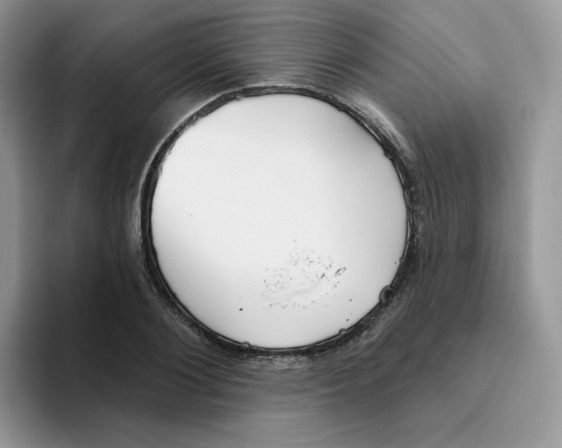 X0000093500884200711091701