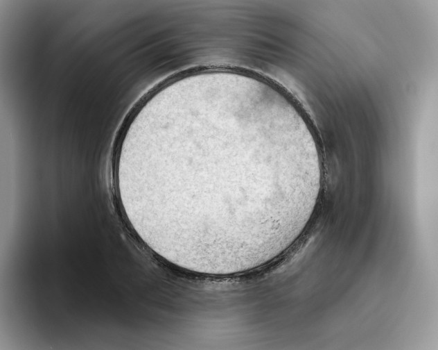 X0000093500887200711091701