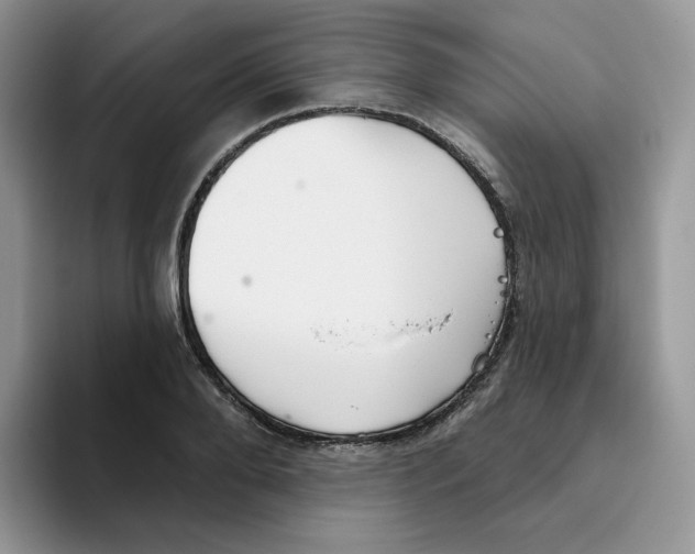 X0000093500888200711091701