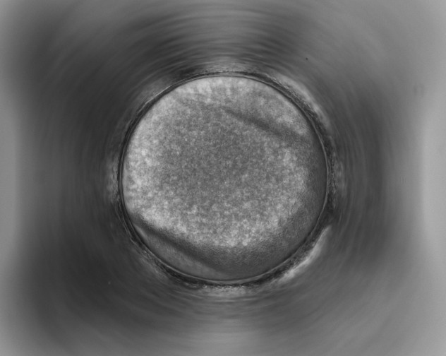 X0000093500889200711091701