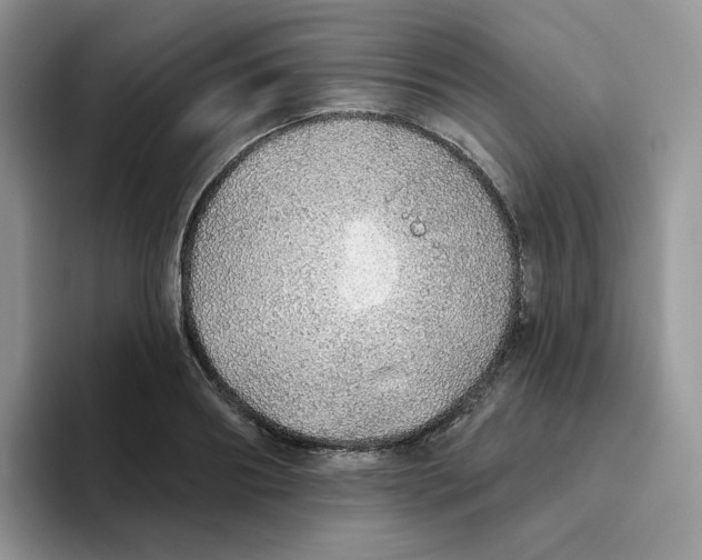 X0000093500890200711091701