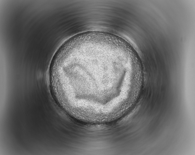 X0000093500891200711091701