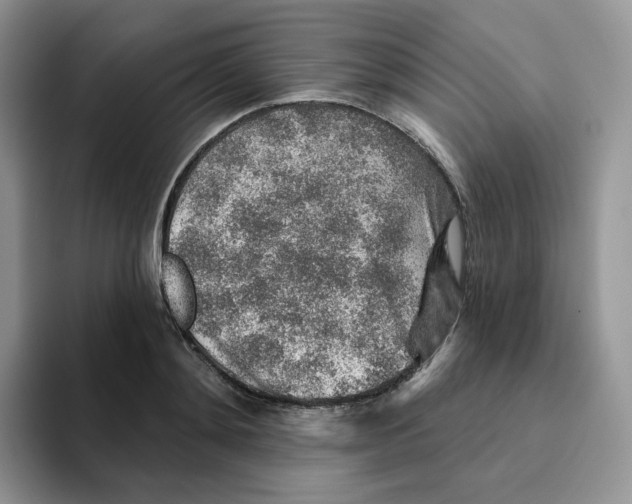 X0000093500892200711091701