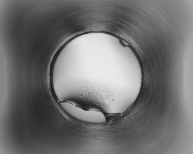 X0000093500894200711091701