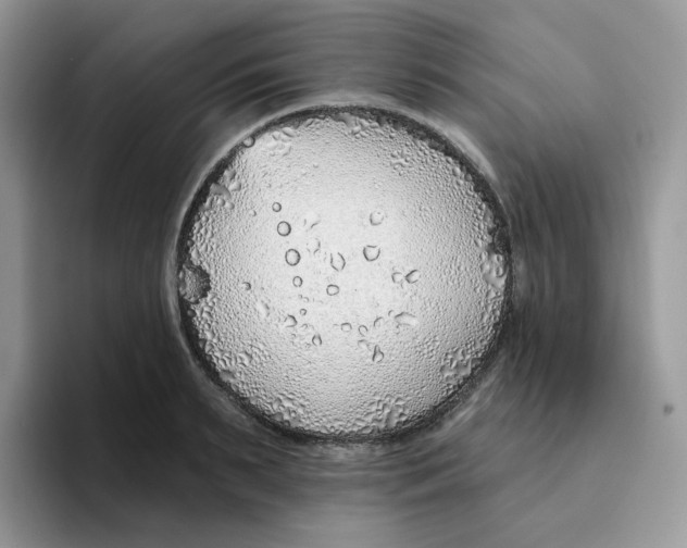 X0000093500895200711091701