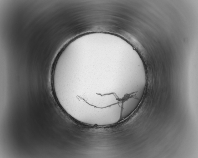 X0000093500896200711091701