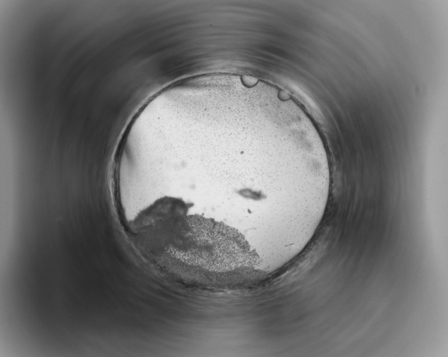 X0000093500899200711091701