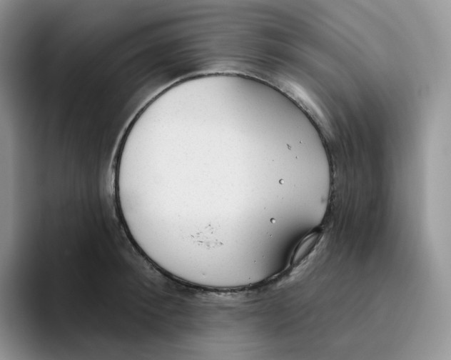 X0000093500900200711091701