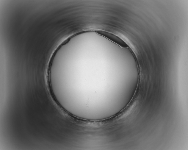 X0000093500901200711091701