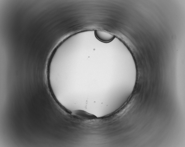 X0000093500902200711091701