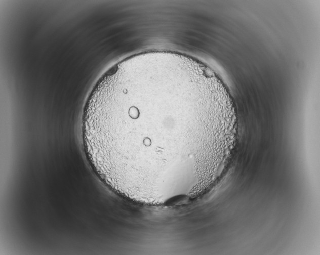 X0000093500903200711091701