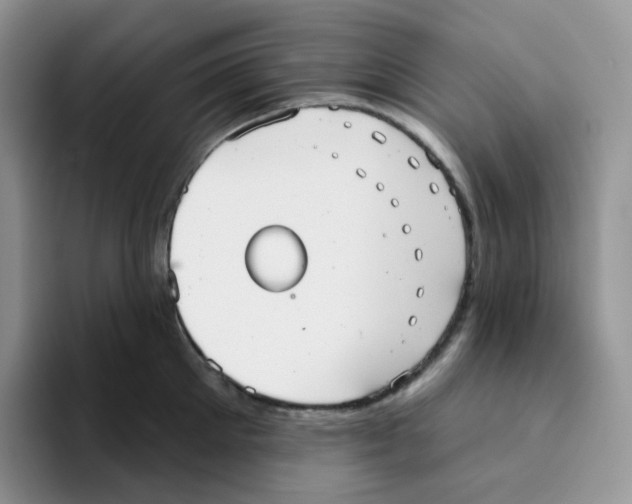 X0000093500905200711091701