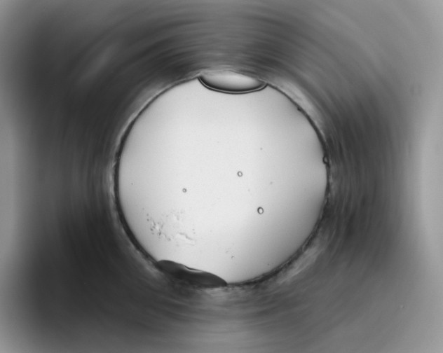 X0000093500906200711091701