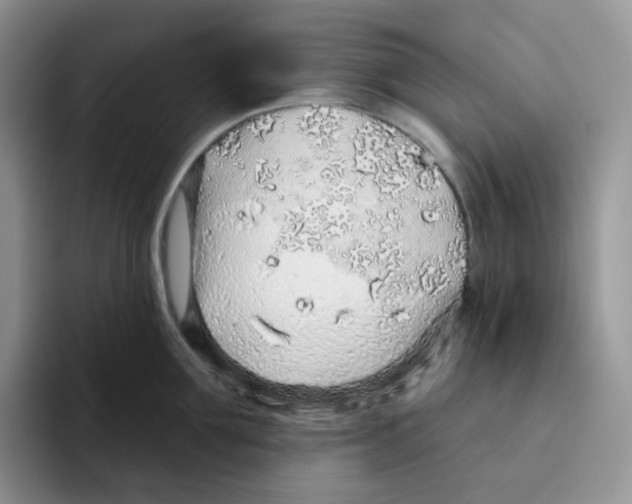 X0000093500907200711091701