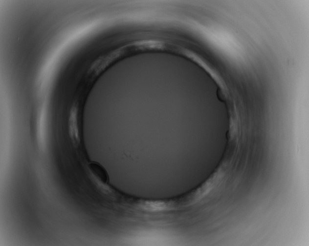 X0000093500911200711091701