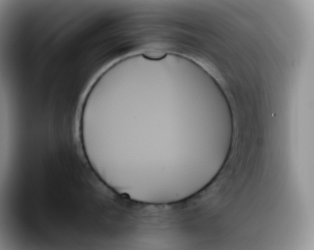 X0000093500912200711091701