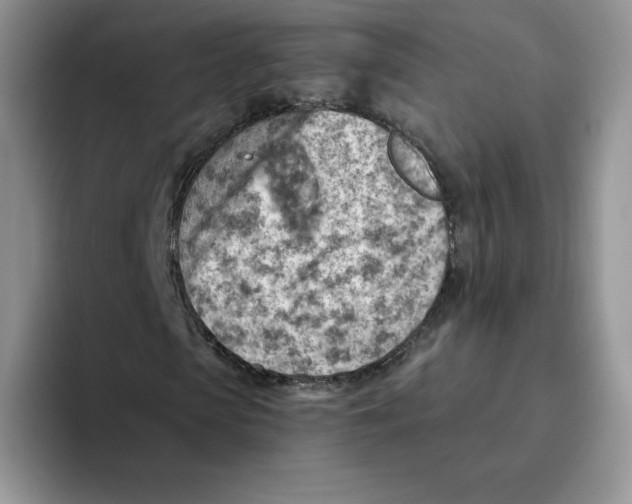 X0000093500913200711091700