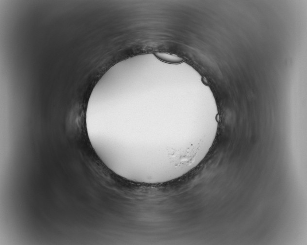 X0000093500914200711091700