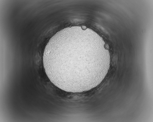 X0000093500917200711091700