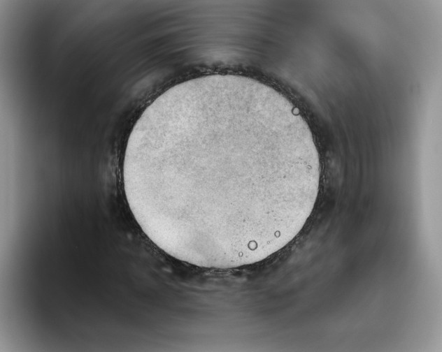 X0000093500918200711091700